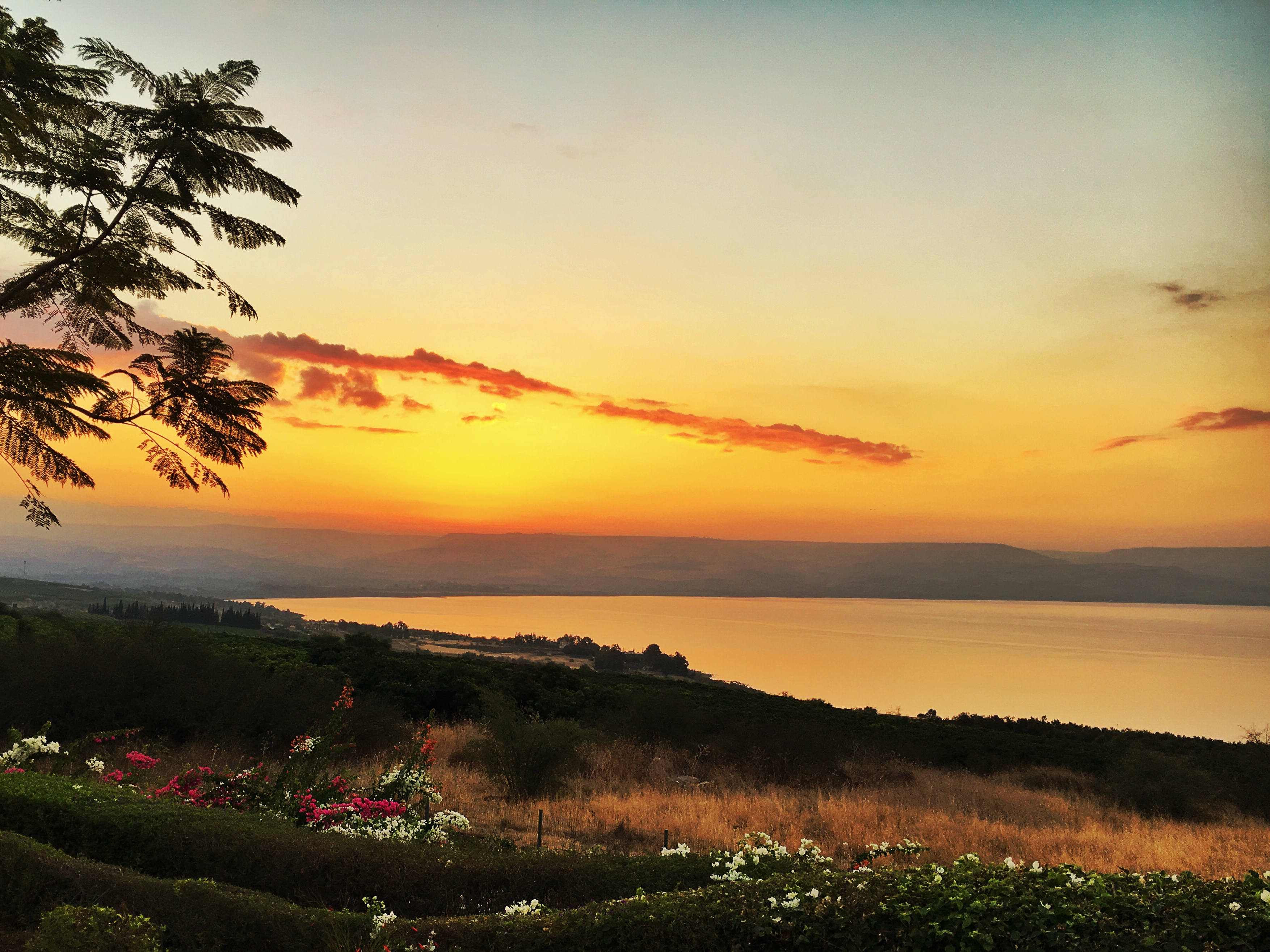 Sunrisegalileeyellow