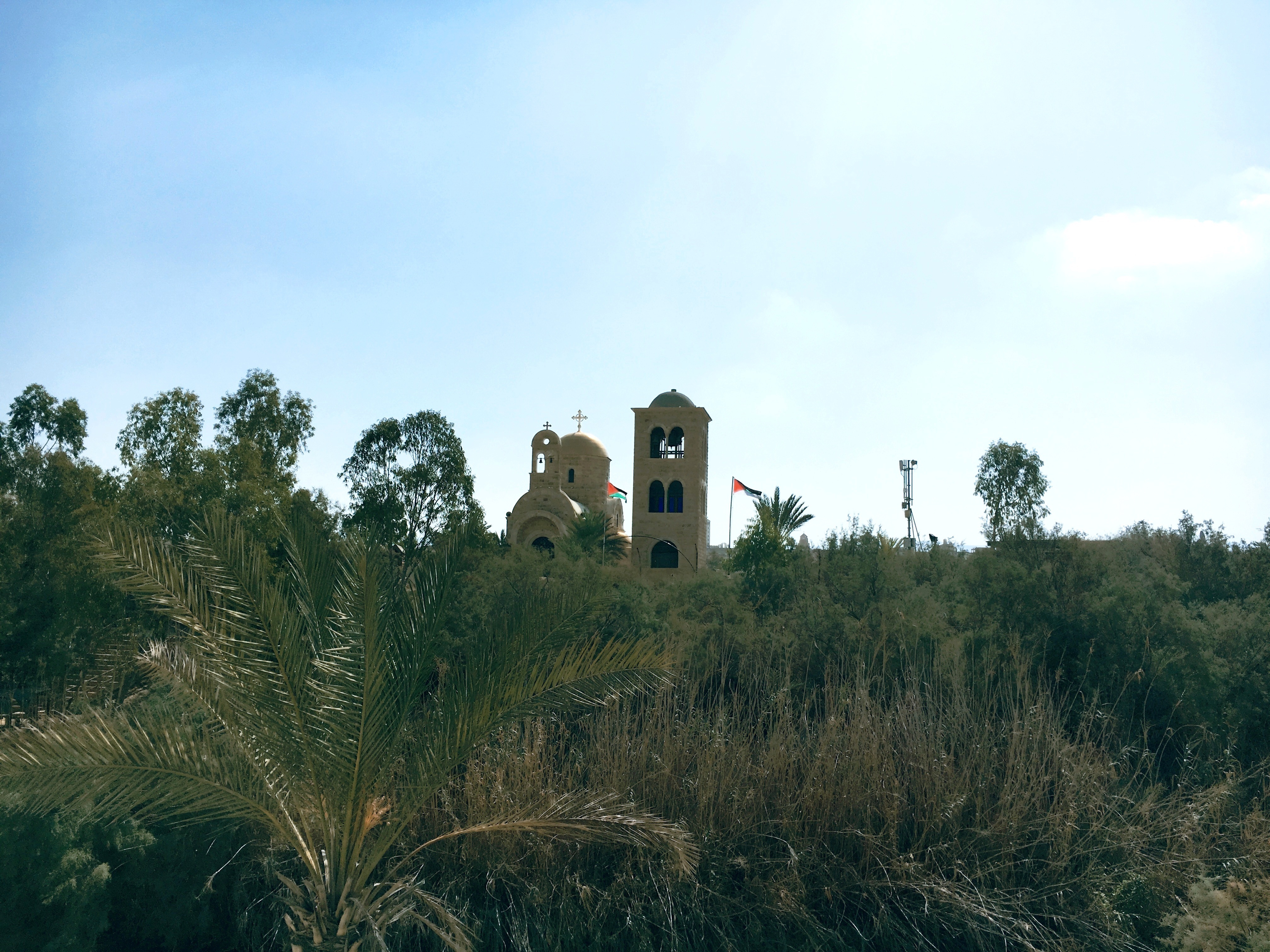 Processed with MOLDIV