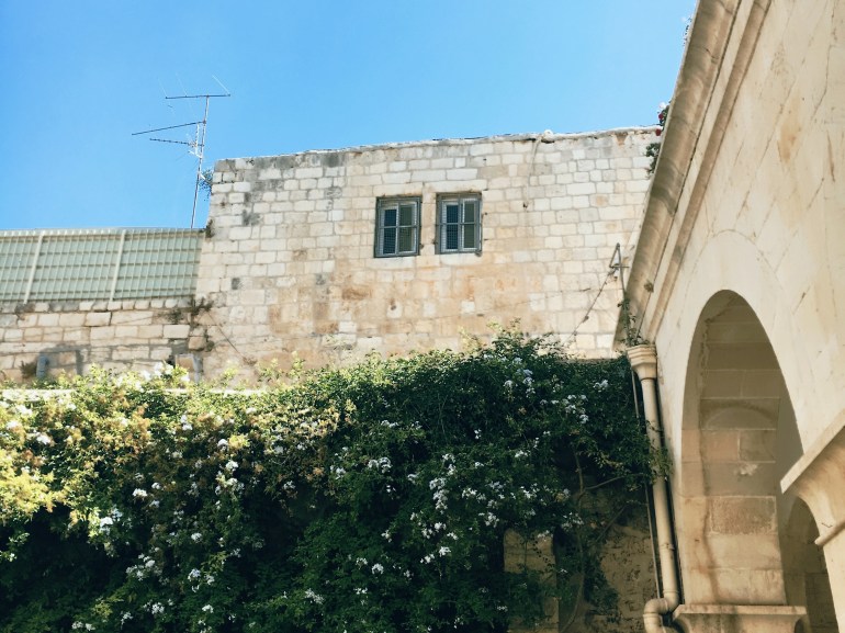 Processed with MOLDIV